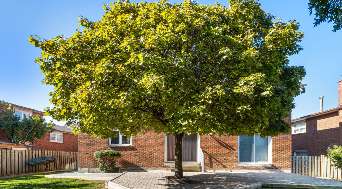 180_Benjamin_Boake_Trail_018